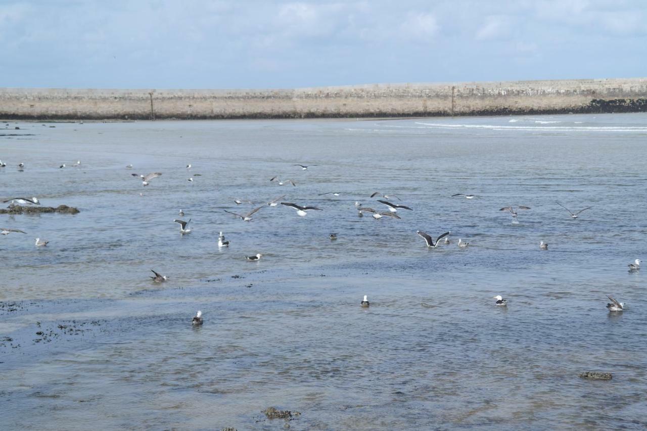 Appartement Cosy Bord De Mer Port-en-Bessin-Huppain Esterno foto
